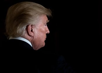 Trump zwalnia dyrektorkę Urzędu ds. Praw Autorskich po raporcie dotyczącym wykorzystania AI do trenowania modeli