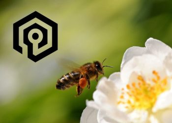 Wykrywanie oszustw za pomocą filtra Bloom w Valkey – skutecznie i bez dużych kosztów