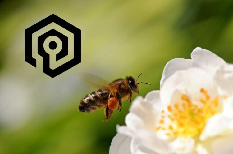 Wykrywanie oszustw za pomocą filtra Bloom w Valkey – skutecznie i bez dużych kosztów