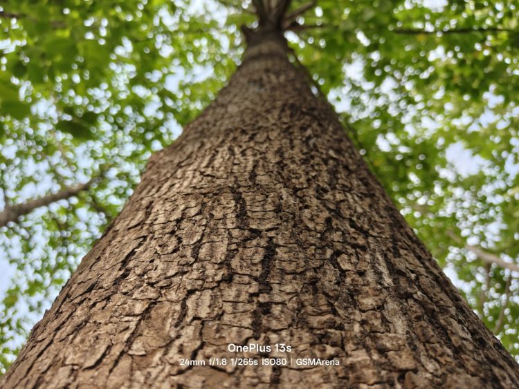 Zobacz pierwsze zdjęcia wykonane aparatem OnePlus 13s
