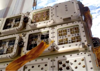 Porost hodowany w laboratorium może ułatwić budowę habitatów na Marsie