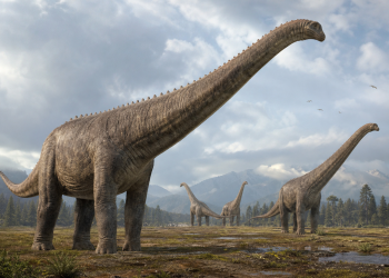 Grafika wyróżniająca: Niektóre dinozaury rosły do gigantycznych rozmiarów aż do osiągnięcia limitu biologicznego