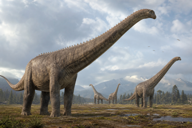Grafika wyróżniająca: Niektóre dinozaury rosły do gigantycznych rozmiarów aż do osiągnięcia limitu biologicznego