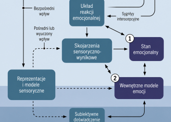 Ukryta logika emocji