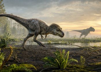 Młody tyranozaur polujący na drobną zdobycz w kredowym środowisku