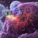 Mechanizm CRISPR Cas12a2 niszczący DNA komórki nowotworowej