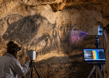 Badacze skanują węglowy pigment prehistorycznego malowidła żubra w jaskini