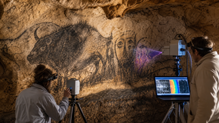 Badacze skanują węglowy pigment prehistorycznego malowidła żubra w jaskini