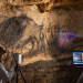Badacze skanują węglowy pigment prehistorycznego malowidła żubra w jaskini