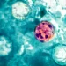 Ponad 400 osób chorych w wyniku tajemniczej epidemii