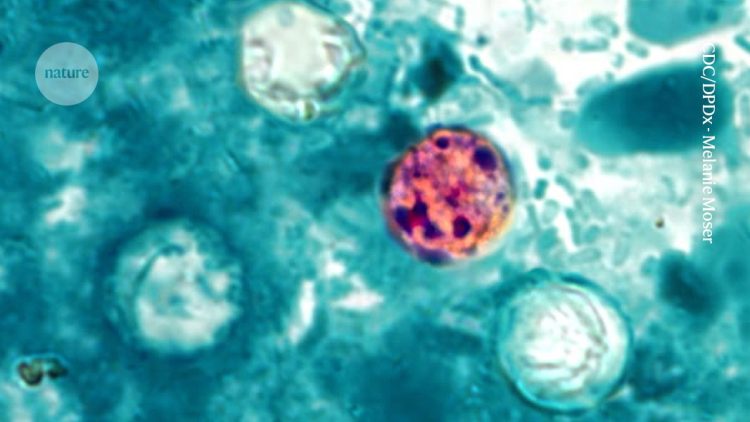 Eksperci szukają źródła epidemii groźnej biegunki w USA