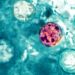 Eksperci szukają źródła epidemii groźnej biegunki w USA