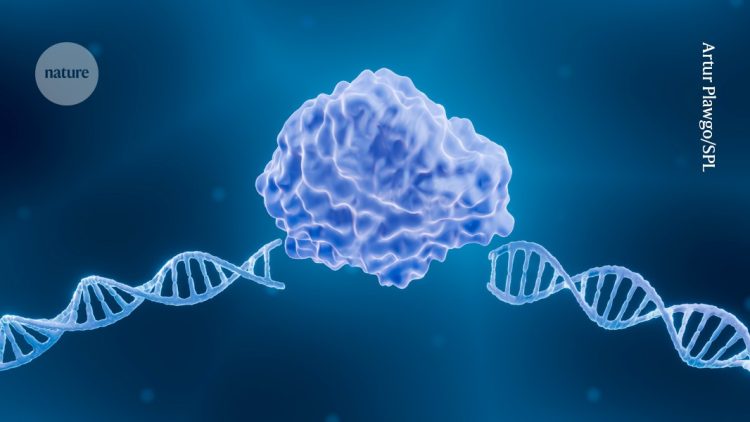 Sztuczna inteligencja udoskonala narzędzia do edycji genów CRISPR