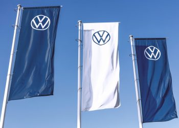 Volkswagen wypasa sto owiec na farmie fotowoltaicznej w Polsce
