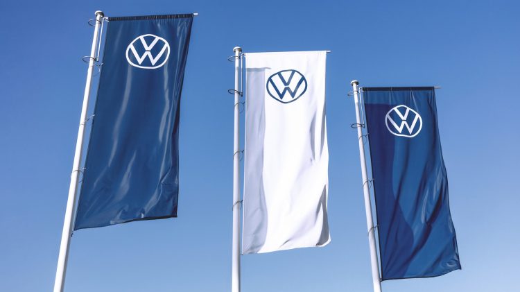 Volkswagen wypasa sto owiec na farmie fotowoltaicznej w Polsce
