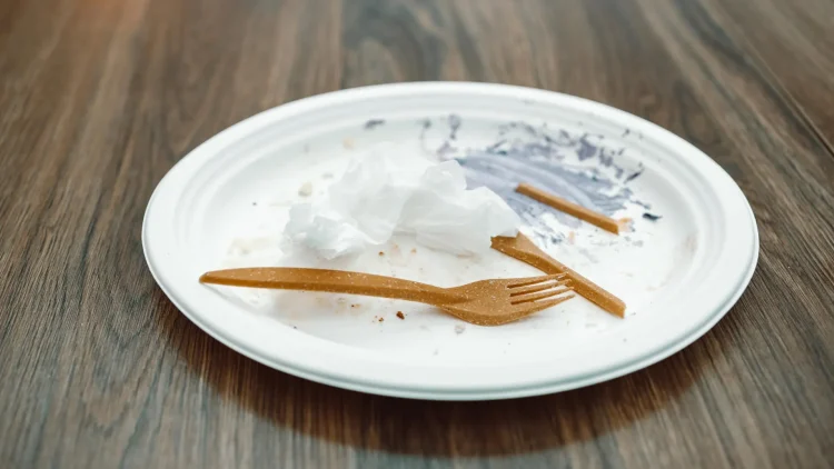 Nowy żywy plastik rozkłada się w sześć dni bez mikroplastiku