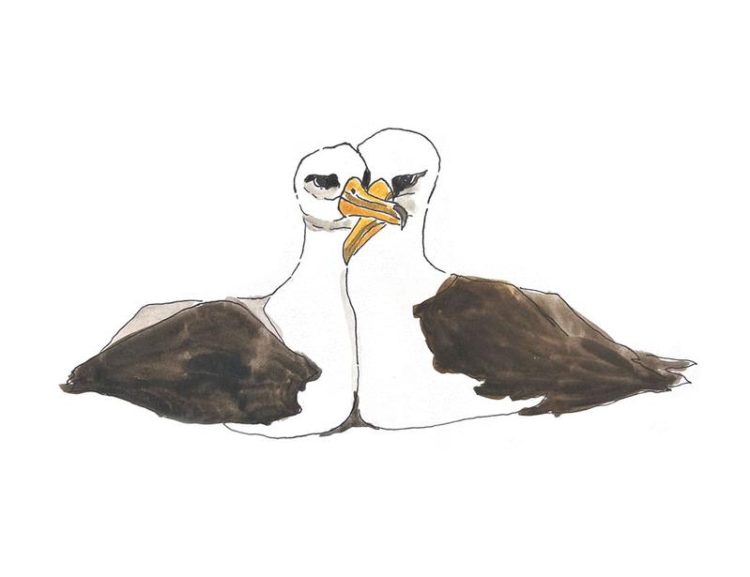 Co wiemy o seksie z perspektywy nauki