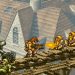Games Done Quick odwołuje transmisję sponsorowaną przez SNK po fali krytyki