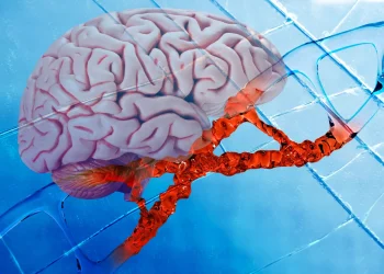 Nowy lek na Alzheimera naprawia DNA i hamuje stan zapalny mózgu